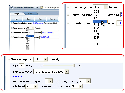Convert RAW  to GIF. Avaible settings for GIF file format.
